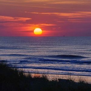 Meet your Posher, Annette